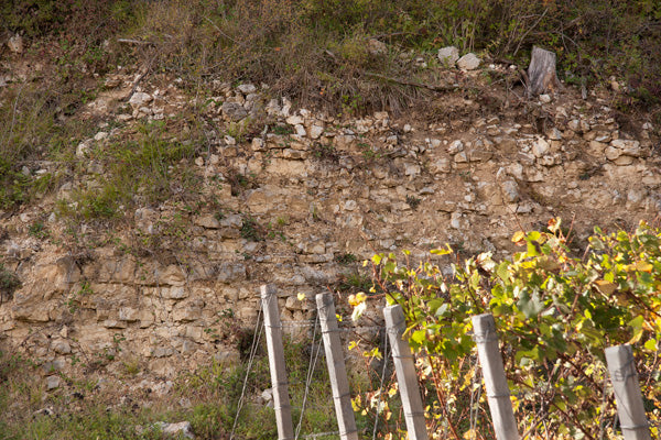 Denis Chaput L'Ombre d'Armand Brut