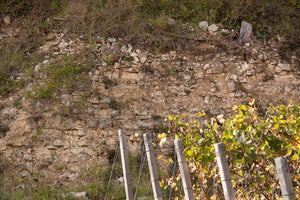 Denis Chaput L'Ombre d'Armand Brut