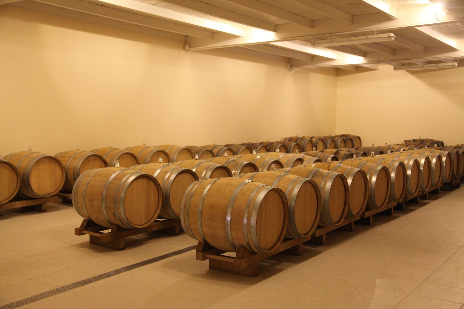 Christian Bourmault LETTRE A TERRE Extra-Brut Premier Cru