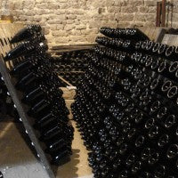 Petit-Camusat Brut Blanc de Blancs -Pinot Blanc-