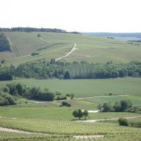 Petit-Camusat Brut Blanc de Blancs -Pinot Blanc-